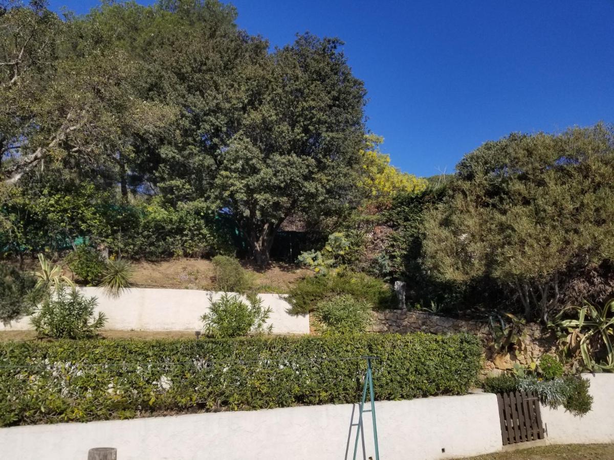 Villa La Louviere La Croix Valmer Golfe De Saint Tropez Екстериор снимка